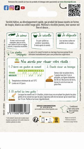 Potagères - Navet-Légume Rave d'Auvergne Hâtive - MEDIA_PACKAGING_VERSO